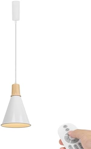 Remote Dimmable Pendant Light