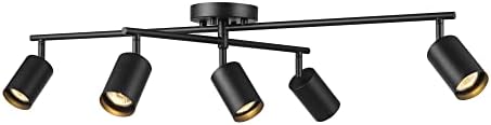 Globe Electric Track Lighting Kit