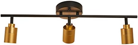 Energy-Saving Shura Track Lighting Kit with Adjustable Heads in Black Brass