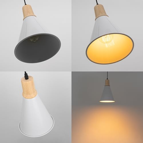 Remote Dimmable Pendant Light