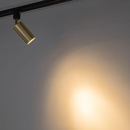 Adjustable Angle Track Lighting Set for Front Hallway with GU10 Bulb