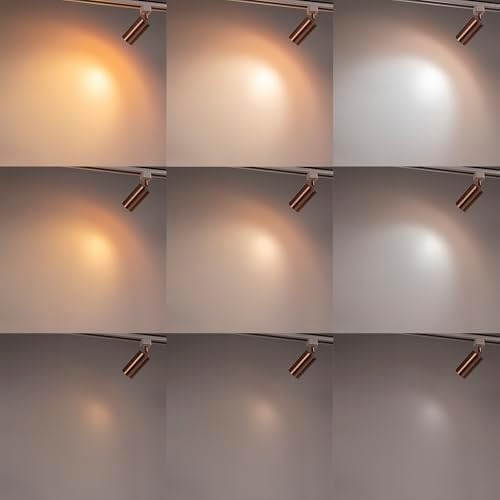 Modern Adjustable Rose Gold Track Lighting Set with Remote Control