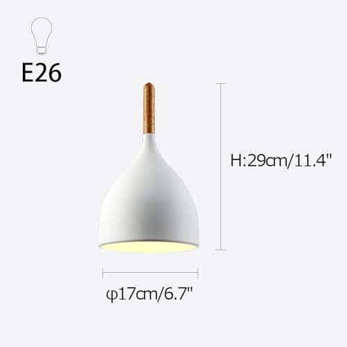 Remote Controlled Adjustable Pendant Light