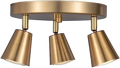 CRAFTRONOS 3 Light Track Ceiling Spotlight