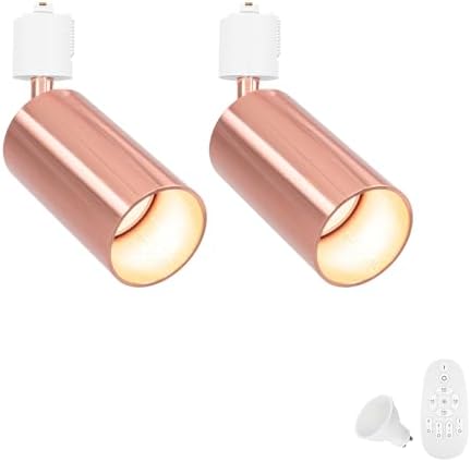Modern Adjustable Rose Gold Track Lighting Set with Remote Control