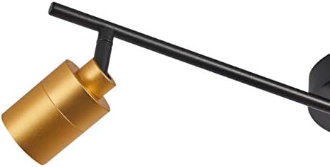 Energy-Saving Shura Track Lighting Kit with Adjustable Heads in Black Brass