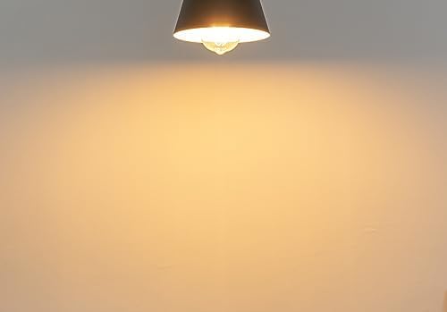 Modern Black Pendant Light