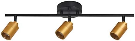 Energy-Saving Shura Track Lighting Kit with Adjustable Heads in Black Brass