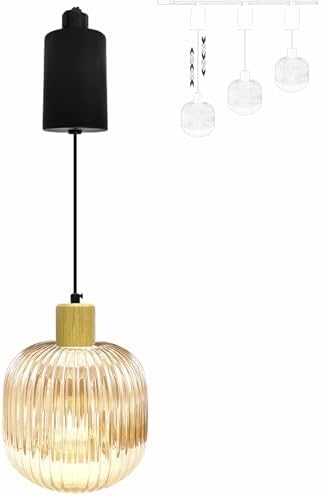 Adjustable H-Track Pendant Light