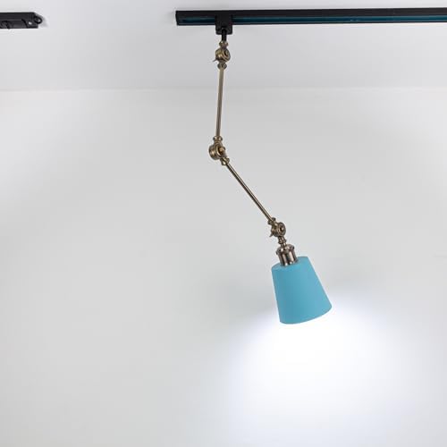 Spotlight with RGBW Color Changing
