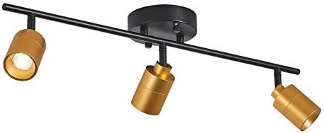 Energy-Saving Shura Track Lighting Kit with Adjustable Heads in Black Brass
