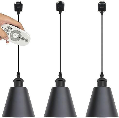 Remote Control Track Pendant Modern Black Design