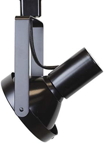 Direct-Lighting PAR38 Black Track Lighting Head E26 H3 90W 350 Rotate
