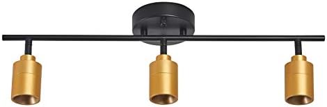 Energy-Saving Shura Track Lighting Kit with Adjustable Heads in Black Brass