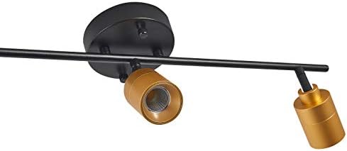 Energy-Saving Shura Track Lighting Kit with Adjustable Heads in Black Brass