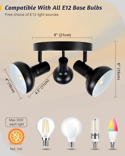 Premium Black Track Lighting Kit