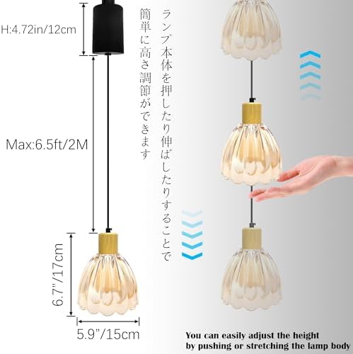 Adjustable E26 Pendant Light with Glass Cover 65ft Dimmable Natural Wood