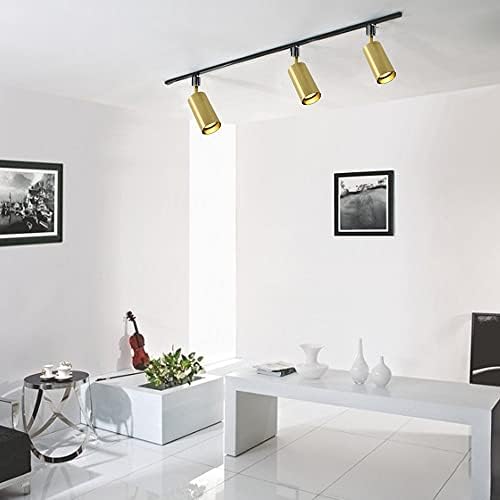 Adjustable Angle Track Lighting Set for Front Hallway with GU10 Bulb