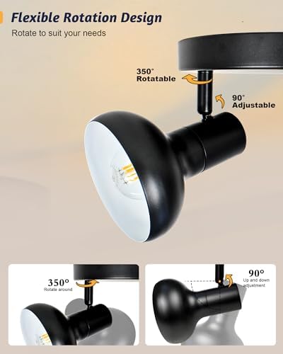 Premium Black Track Lighting Kit