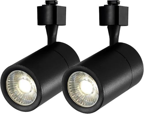 Bravsekai 2-Light LED Track Lighting Kit