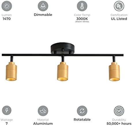 Energy-Saving Shura Track Lighting Kit with Adjustable Heads in Black Brass
