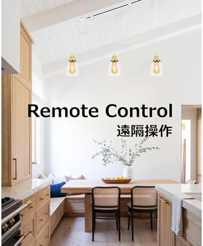 Adjustable LED Track Light with Timer for Hanging
