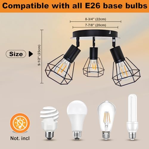 3-Light Track Lighting - Modern Industrial Ceiling Kit