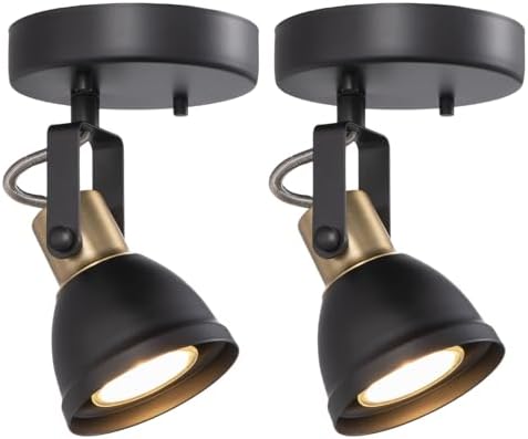 Modern Track Lighting Kit Accent Design