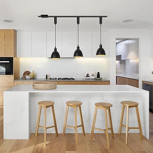 Track Pendant Light