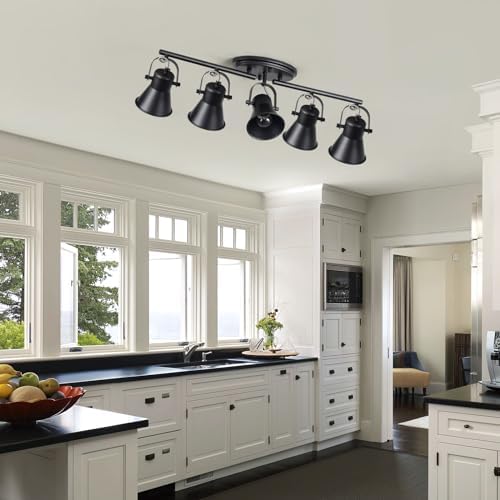 SEEBLEN 5-Light Track Lighting Kit Adjustable Industrial Black Track Lighting Fixtures Ceiling