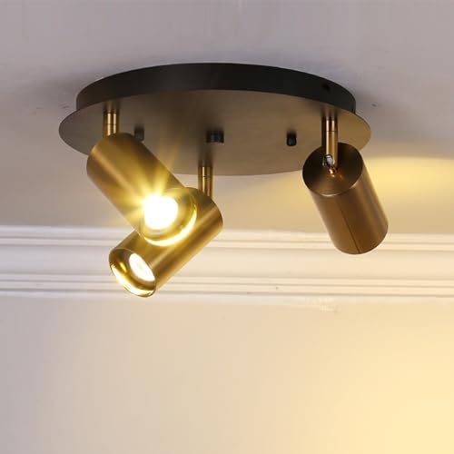 Adjustable Ceiling Spotlight with Color Changing RGB