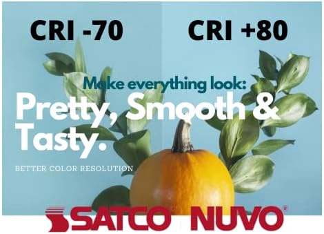 Brighten Your Space with the Nuvo Satco Close-Ceiling Light