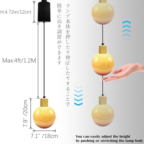 Adjustable Height Chandelier with Glass Shade E26Socket by SKIVTGLAMP