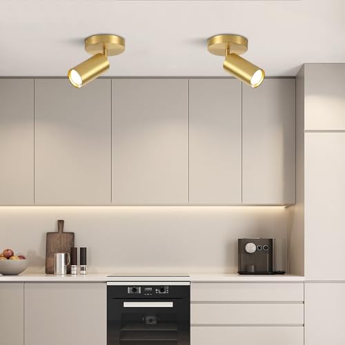 Modern LED Track Lighting Kit