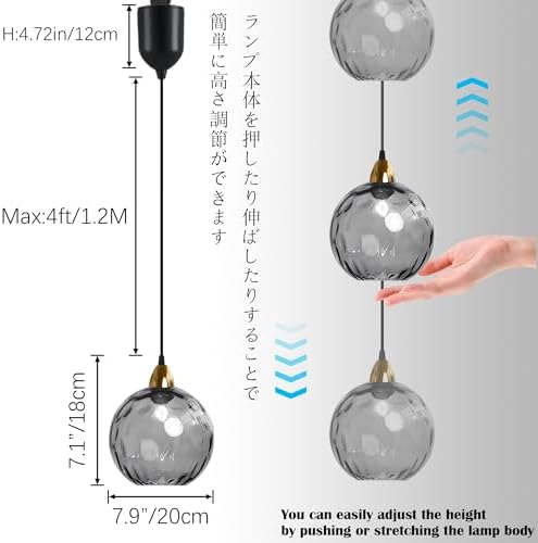 Adjustable Pendant Light with Smoke Gray Glass Shade E26
