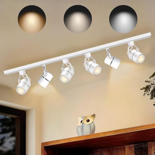 Bravsekai LED Track Lighting Kit
