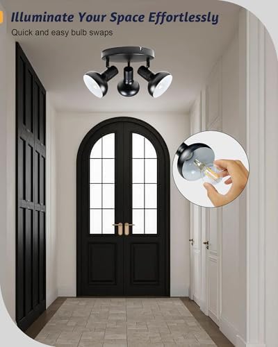 Premium Black Track Lighting Kit