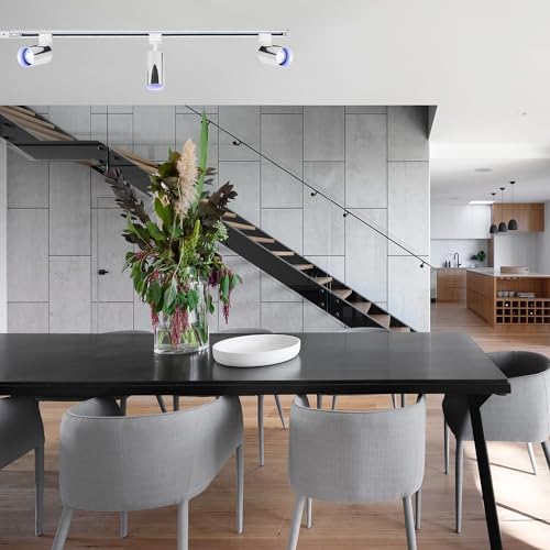 Perfect for Your Disco Nights Juno Track Lighting with Gimbal RGB Bulbs