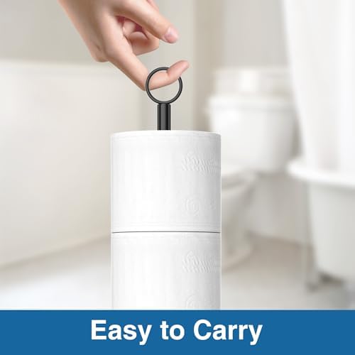 Stainless Steel Toilet Paper Holder Modern Design 5-6 Rolls Capacity