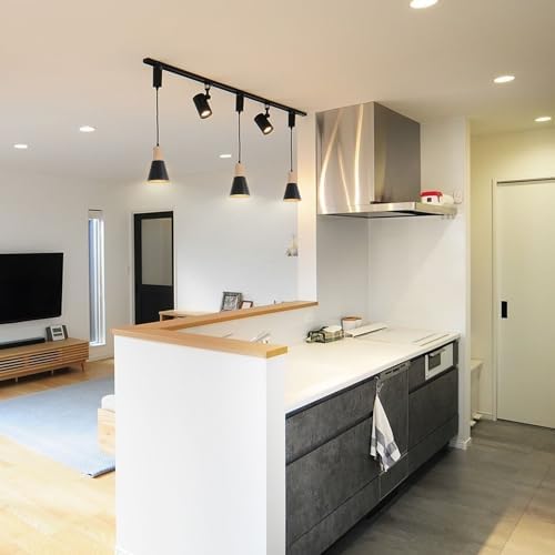 YequanDec Track Mount Pendant Light