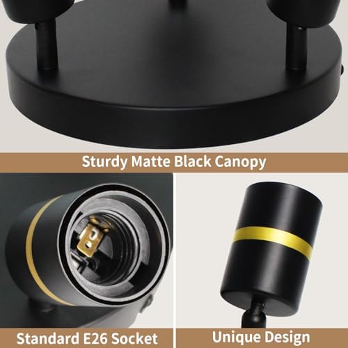Track Lighting Kit - 360 Degree Rotatable Ceiling Lighting with Black Design E26 compatible