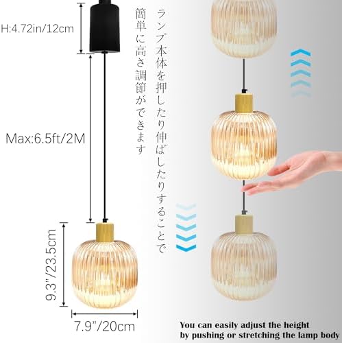 Adjustable H-Track Pendant Light