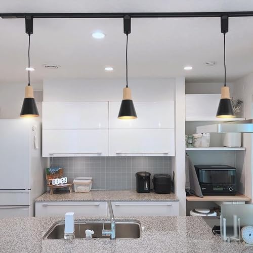 YequanDec Track Mount Pendant Light