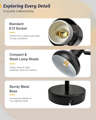 Premium Black Track Lighting Kit