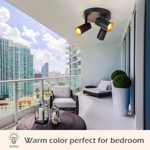 TitiGeeli 3-Light Matte Black Track Ceiling Spotlight