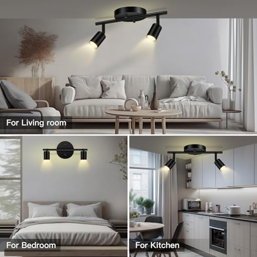 Illuminate Perfect 2-Light Track Lighting