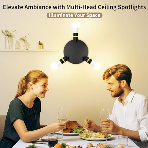 Track Lighting Kit - 360 Degree Rotatable Ceiling Lighting with Black Design E26 compatible