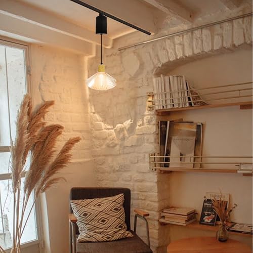 Adjustable Pendant Light