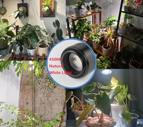 adjustable LED hanging light for indoor plants