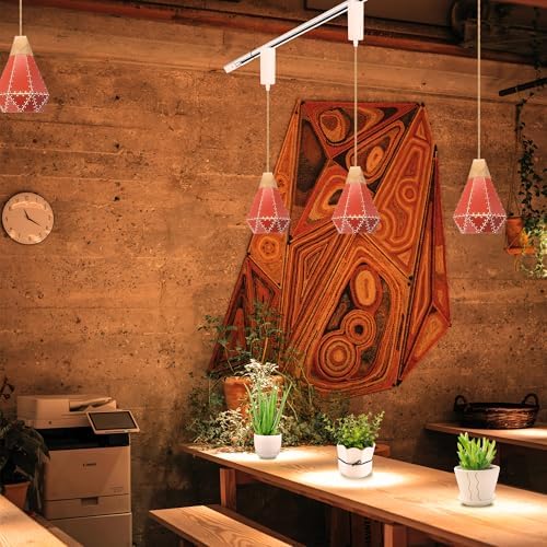 Full Spectrum LED Plant Grow Light